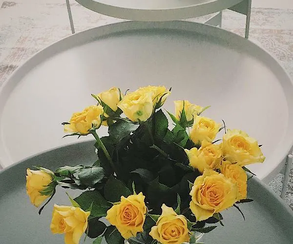 Magnum Apartamento *